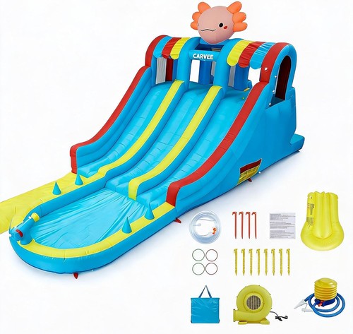Bouncy castle with blower - with,